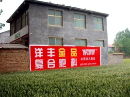 沛县如何让墙体广告展现最大化效果